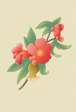 石榴花