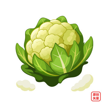 矢量插畫蔬菜生鮮菜花