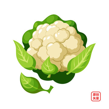 矢量插畫蔬菜生鮮菜花