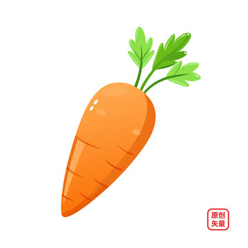 矢量插畫(huà)蔬菜生鮮胡蘿卜