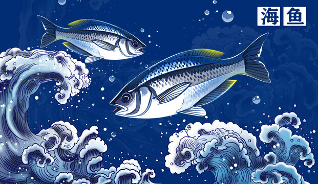 海魚(yú)