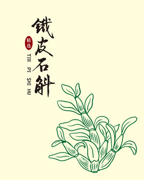 鐵皮石斛