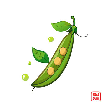矢量插畫蔬菜生鮮豆類豌豆