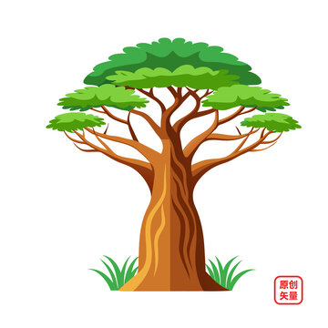 矢量插畫(huà)植物大樹(shù)猴面包樹(shù)