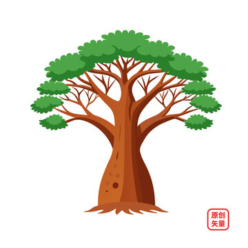 矢量插畫植物大樹猴面包樹