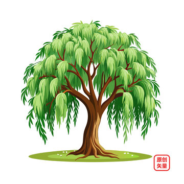 矢量插畫植物大樹柳樹