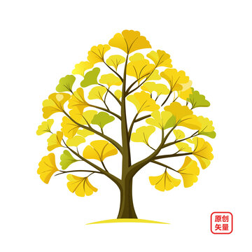 矢量插畫(huà)植物大樹(shù)銀杏樹(shù)