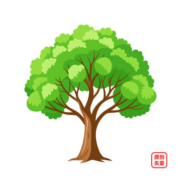 矢量插畫植物茂盛大樹