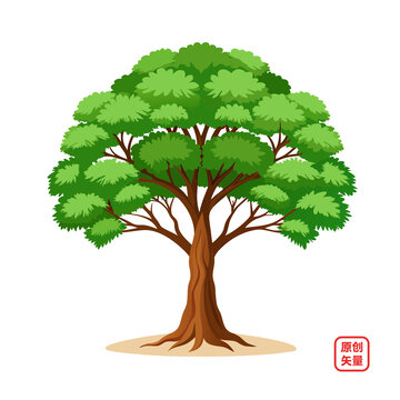 矢量插畫(huà)植物茂盛大樹(shù)