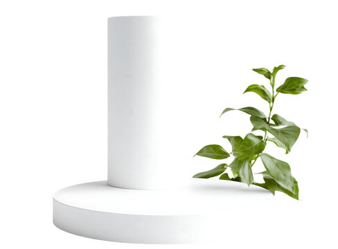 [免摳素材]白色展示臺與綠色植物