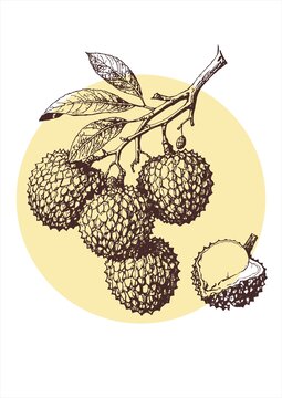 荔枝