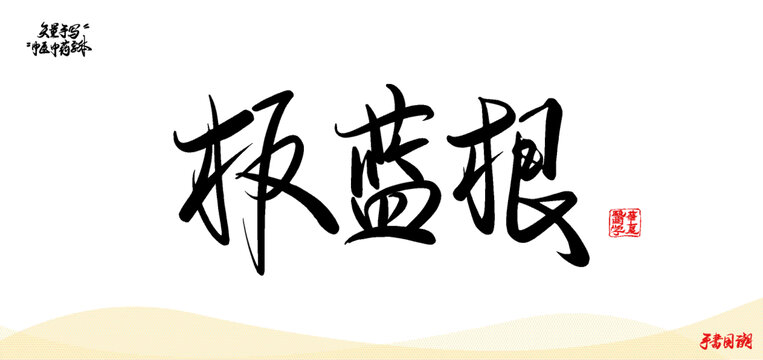 板藍(lán)根中醫(yī)藥名詞矢量書(shū)法手寫(xiě)字體