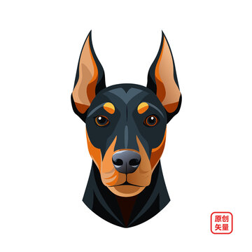 矢量插畫動物可愛微笑小狗杜賓犬頭像