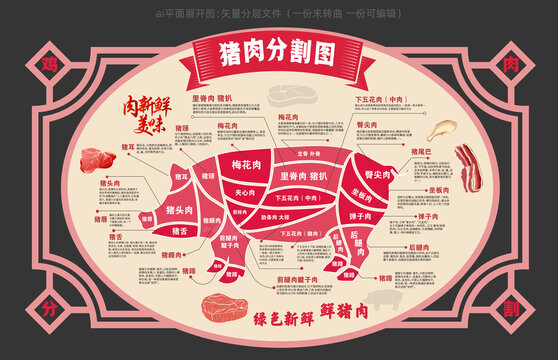豬肉分割圖