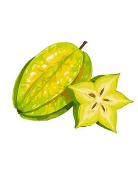 楊桃插畫