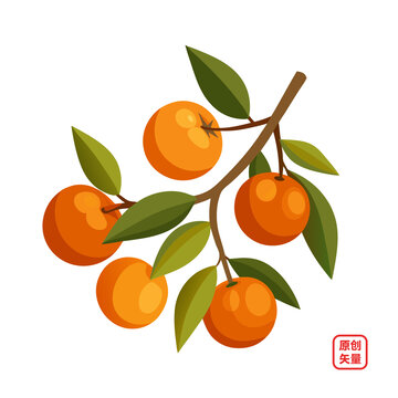 矢量插畫(huà)新鮮水果樹(shù)枝上的橘子