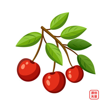 矢量插畫新鮮水果樹枝上的荔枝