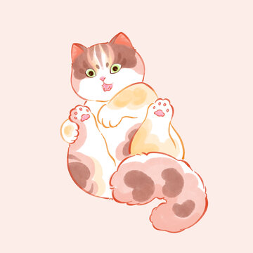 三花貓插畫之沒見過帥貓嗎