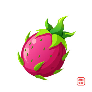 矢量插畫水果美味新鮮火龍果