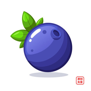 矢量插畫水果美味新鮮藍(lán)莓