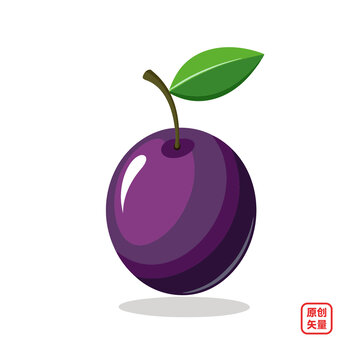 矢量插畫(huà)水果美味新鮮李子