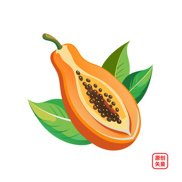矢量插畫水果美味新鮮木瓜