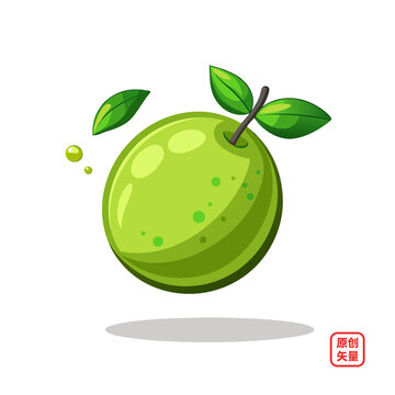 矢量插畫水果美味新鮮青檸