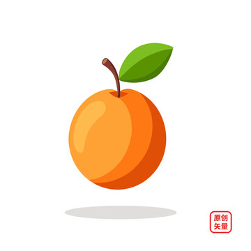 矢量插畫水果美味新鮮杏子