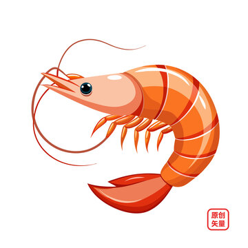 矢量插圖動(dòng)物海洋生物大蝦