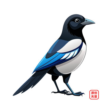矢量插圖動物鳥類喜鵲