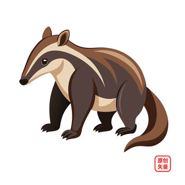 矢量插圖動物食蟻獸