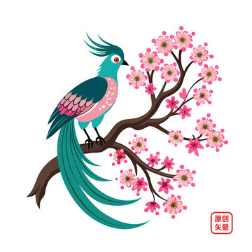 矢量插圖動物簡約枝頭美麗小鳥