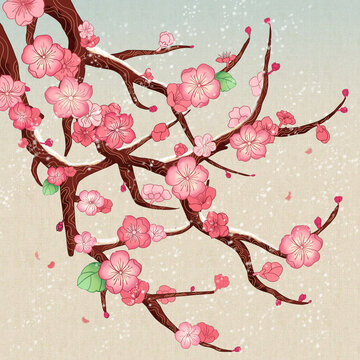 國風(fēng)梅花插畫