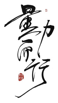 量力而行