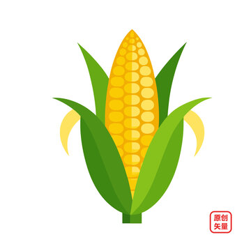 矢量插圖糧食農作物玉米