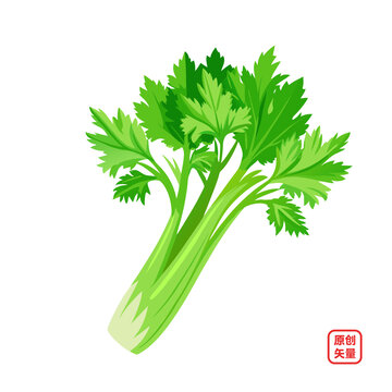 矢量插圖蔬菜新鮮芹菜
