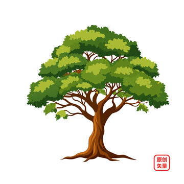 矢量插圖植物茂盛大樹