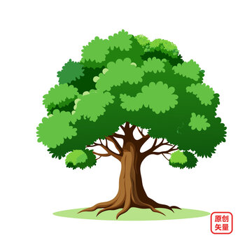 矢量插圖植物茂盛大樹(shù)