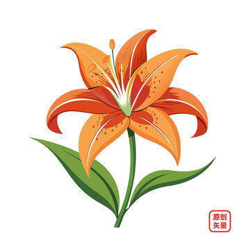 矢量插圖植物鮮花百合花