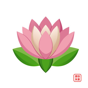 矢量插圖植物鮮花荷花