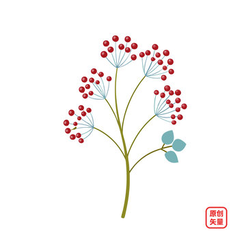 矢量插圖植物鮮花滿天星