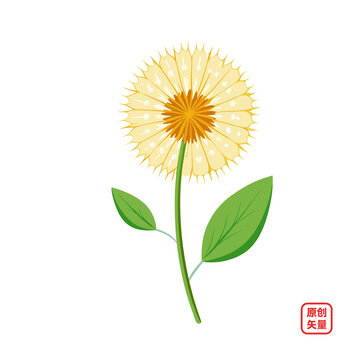 矢量插圖植物鮮花蒲公英