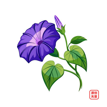矢量插圖植物鮮花牽?；? loading=
