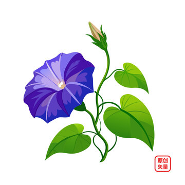 矢量插圖植物鮮花牽?；? loading=