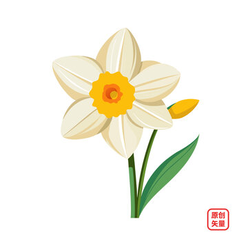 矢量插圖植物鮮花水仙花