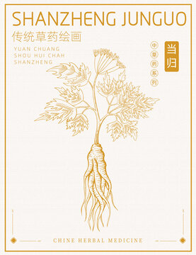當(dāng)歸版畫插畫白描