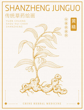 黃精版畫插畫白描