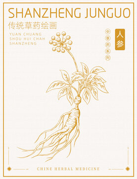 人參版畫插畫手繪