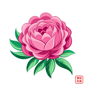 矢量插圖植物鮮花牡丹