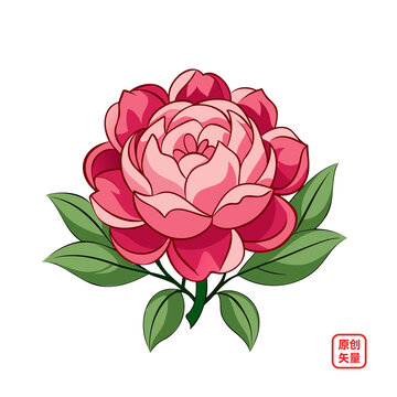 矢量插圖植物鮮花牡丹